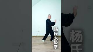 练太极拳，不要耸肩，不要伸直手脚，全伸直不是太极拳 kungfu taijiquan 太極拳 [upl. by Offen]