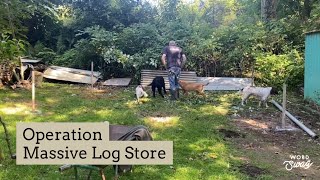 Building A New Log Store Begins 🪵 [upl. by Christianson]