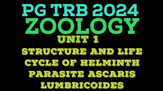 ASCARIS LUMBRICOIDES  ROUND WORM  HELMINTH PARASITE  ASCARIASIS  PG TRB 2024 ZOOLOGY [upl. by Ardis]