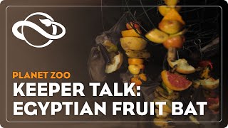 Planet Zoo  Keeper Talk  Egyptian Fruit Bat [upl. by Philander]