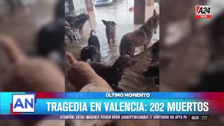 🔴 CATÁSTROFE CLIMÁTICA EN ESPAÑA Más de 200 muertos y polémica por alertas meteorológicas tardías [upl. by Darla568]