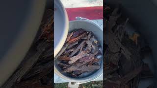 How To Make Your Own Shag Bark Hickory Syrup Over A Fire Pit [upl. by Eipper]