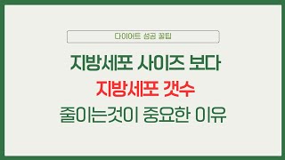 에이플룸TV지방세포사이즈 보다 지방세포수가 중요한 이유 [upl. by Knarf]