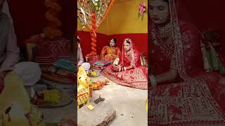 gana dikhaiye Mysore dheere dheeremandapVivah😭😭😭 wedding indiancomposer wedding video [upl. by Vilhelmina]