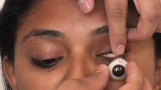 Artificial eye removal with suction cup [upl. by Ecinej556]