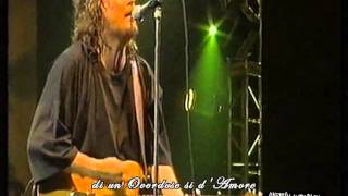 Zucchero  Overdose damore Live 1995 [upl. by Caputto]