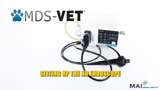 Endoscope Set Up [upl. by Alecia]