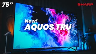 SHARP AQUOS TRU 75quot TV 2024 Flagship Experience BUT More Affordable 😎 [upl. by Smada]