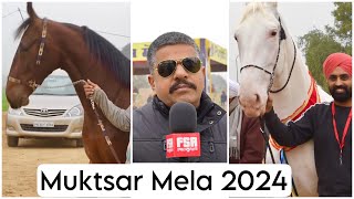 Muktsar Horse Fair 2024  January 10  Vlog Part 1 मुक्तसर घोडा मंडी [upl. by Hannej280]