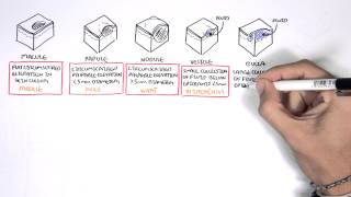 Dermatology  Lesion Terminology [upl. by Lissner]