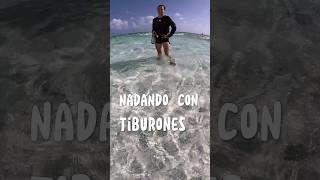 NADANDO con TIBURONES🦈 vlog tiburones vacation shortsviral [upl. by Leuas]