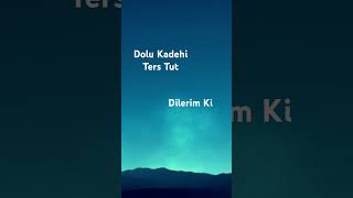 Dolu Kadehi Ters Tut  Dilerim Ki [upl. by Attiuqehs]