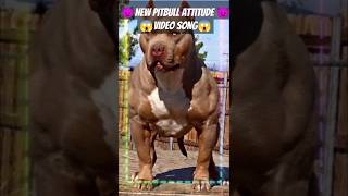 😡😈 Pawer me ham are power me ham 😈 gadariya new trending pitbull status video video 🔥🔥 [upl. by Devy]