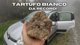 TARTUFO BIANCO da RECORD Quanto VALE e DOVE sarà stato trovato [upl. by Aihcats]