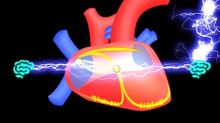 🔴 APPRENEZ LE SYSTEME ELECTRIQUE DU COEUR EN 7 MIN EN 2017   DR ASTUCE [upl. by Browne]