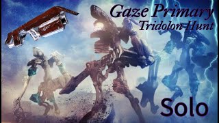 Solo Tridolon with Gaze Primary [upl. by Feenah]