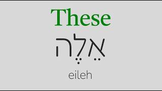 This That These and Those Demonstrative Pronouns Hebrew Basics 7 [upl. by Dawn]