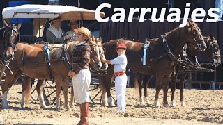 Carruajes Antiguos Pasear con estilo [upl. by Screens]