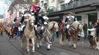 Fastnacht Mainz 2013  Parade der närrischen Garden [upl. by Clauddetta]