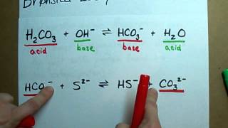 Identify Conjugate Acid Base Pairs Bronsted Lowry [upl. by Haldan95]