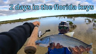 Fishing in the Florida keys sight fishing bonefish  crystal clear water flats [upl. by Yatnoed129]