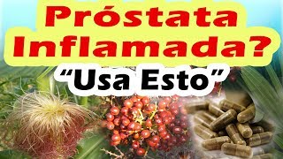 Como Desinflamar La Próstata Naturalmente Remedios Caseros Para La Próstata Inflamada [upl. by Nahtanhoj]