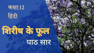 शिरीष के फूल पाठ सार कक्षा 12। शिरीष के फूल seris ke phool class 12th hindi [upl. by Haroppiz284]