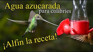 BEBEDERO PARA AVES AUTOMÁTICO Y CASERO [upl. by Kcirevam21]