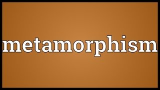 Metamorphism Meaning [upl. by Bathesda]