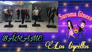 Tigrillos  Báilame  ZUMBA STEP [upl. by Drona953]