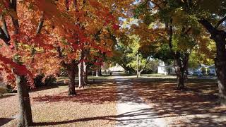 Autumn on West 2nd Street [upl. by Grosvenor]