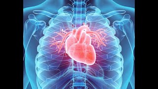 Physiology  CVS  Electrocardiograph 1422018 DrNagi  Arabic [upl. by Eelir]