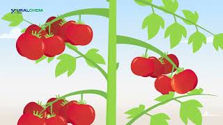 Animated Video for Agricultural Plant [upl. by Betti]