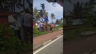 Spotting a train at Wellawatte Railway Station [upl. by Sorazal]