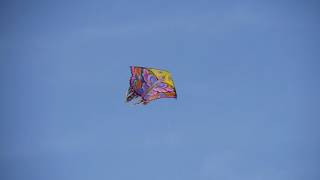 Flying A Kite 01 Over Blue Sky  Free Stock Footage [upl. by Yhprum]