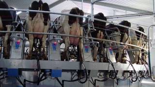 Boumatic Gascoigne Melotte Milking Machines Throughout Ireland [upl. by Adnawuj524]