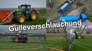 Schafmeister Agrarservice Gülleverschlauchung mit John Deere R6 amp PERWOLF Schlauchsystem 4k UHD [upl. by Latsyrcal767]