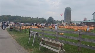 Going to Downeys Farm Caledon Ontario Canada [upl. by Sidky828]