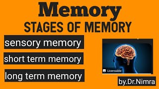 3 stages of memory sensoryshort term long termin psychology seriesby Dr Nimra [upl. by Gloria901]