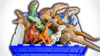 DINO Classifications  Amazing Dinosaurs [upl. by Aikahs]