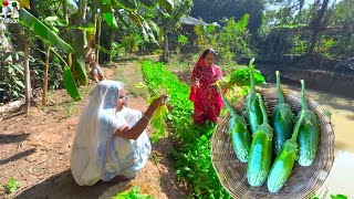 চিংড়ি মাছ দিয়ে সোলোবেগুনের সেরা স্বাদের রান্না  Grandmother style cooking Brinjal and prawn fry [upl. by Euqinim175]