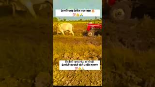 बैलाशिवाय शेतीत मजा नाय नादशेतीचा ytshortsindia reels shortfeed youtubeshorts farmer शेती [upl. by Benn]