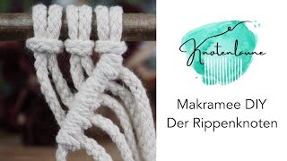 Makramee  Rippenknoten  Makramee Grundknoten  Makramee Tutorial für Anfänger  Makramee DiY [upl. by Sllew]