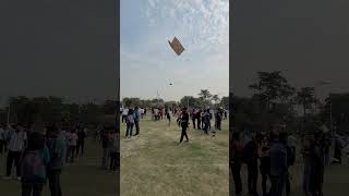 Kite Flying Festival in college [upl. by Bathsheeb]