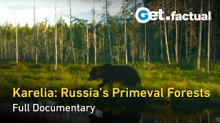 Karelia Russias Primeval Forests  Nature Documentary [upl. by Swithbart18]