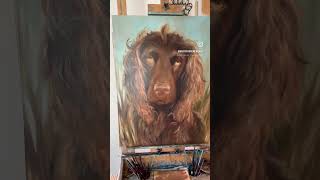 Boykin Spaniel Pet Portrait Oversized Painting [upl. by Belier]