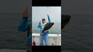 How Halibut go after bait fishingholiday fishing halibut [upl. by Simpkins309]