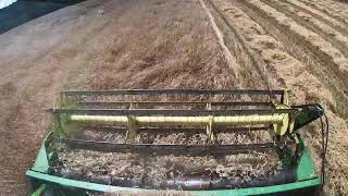 Combining Triticale Livestream [upl. by Nnylecoj]