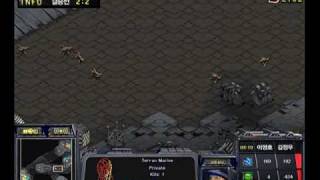 Flash vs Effort Game 5  Korean Air OSL Finals [upl. by Yllah]