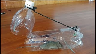 Mouse trap with Plastic Water bottle  Mouse RAT TRAP [upl. by Mallorie]